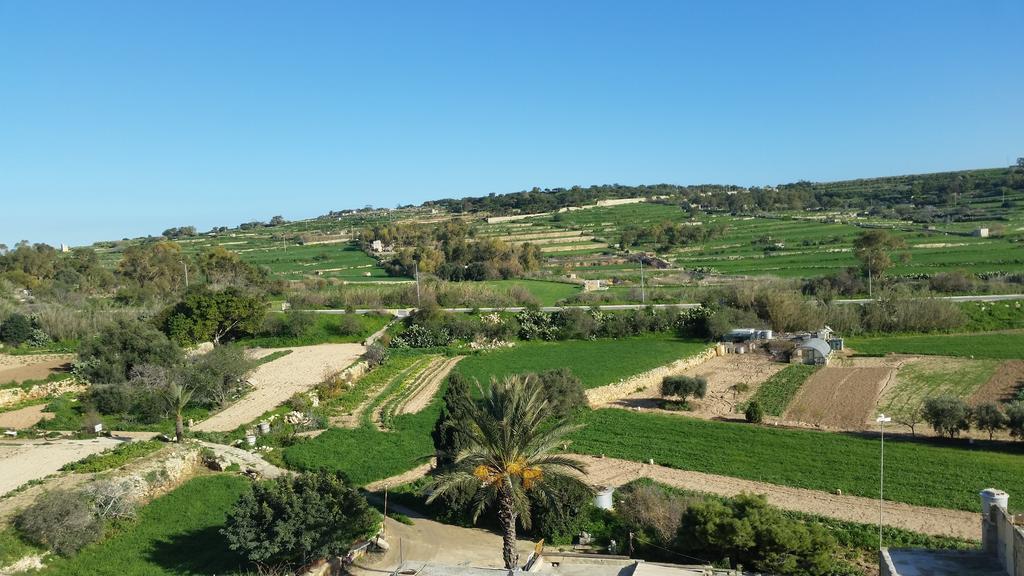 Seagull Penthouse Appartamento Marsaxlokk